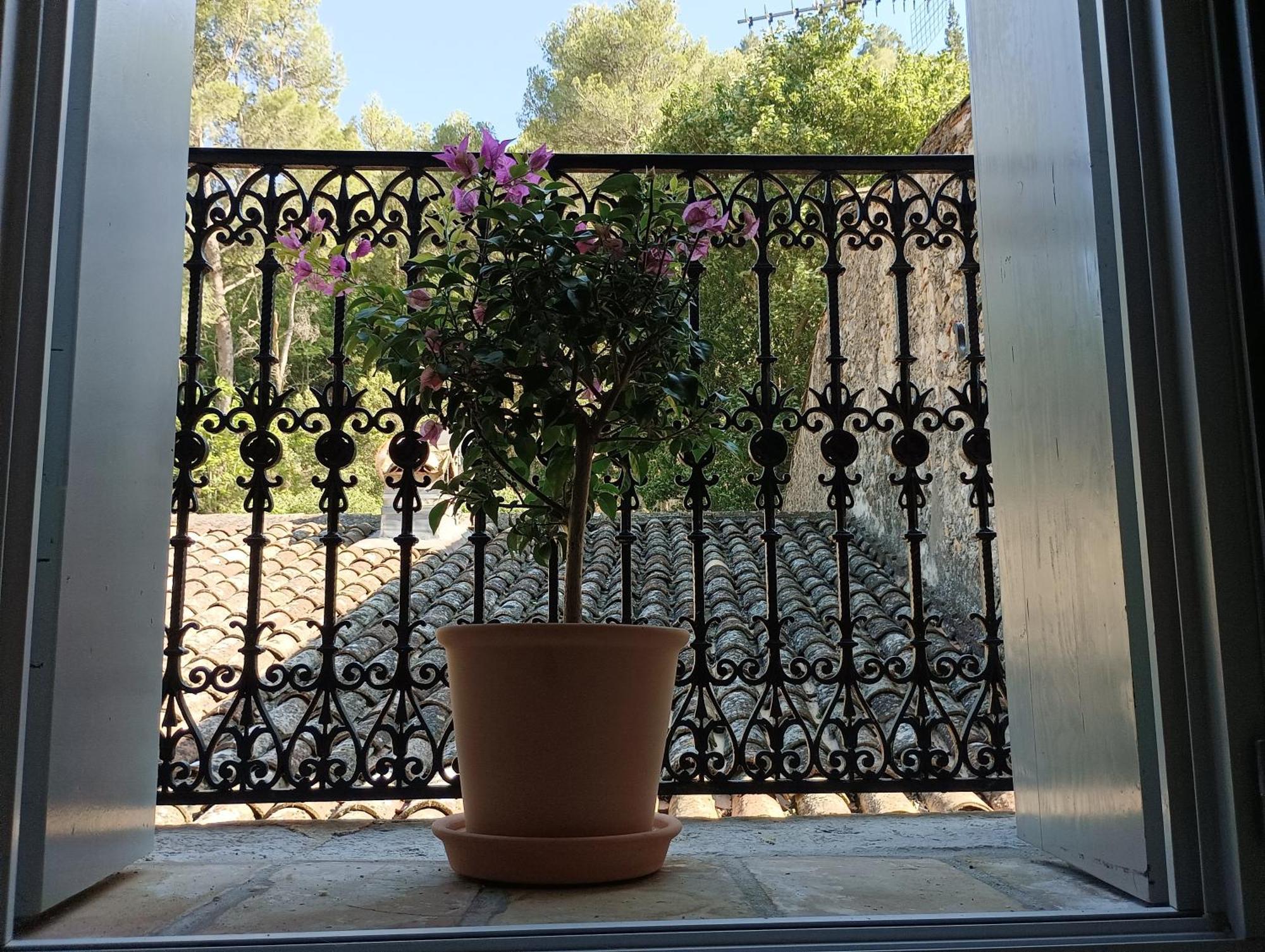 La Maison De La Traverse Saint-Guilhem-le-Desert Exteriér fotografie