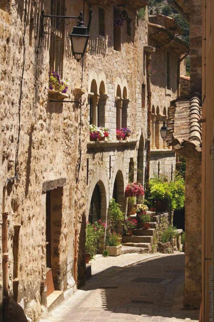 La Maison De La Traverse Saint-Guilhem-le-Desert Exteriér fotografie