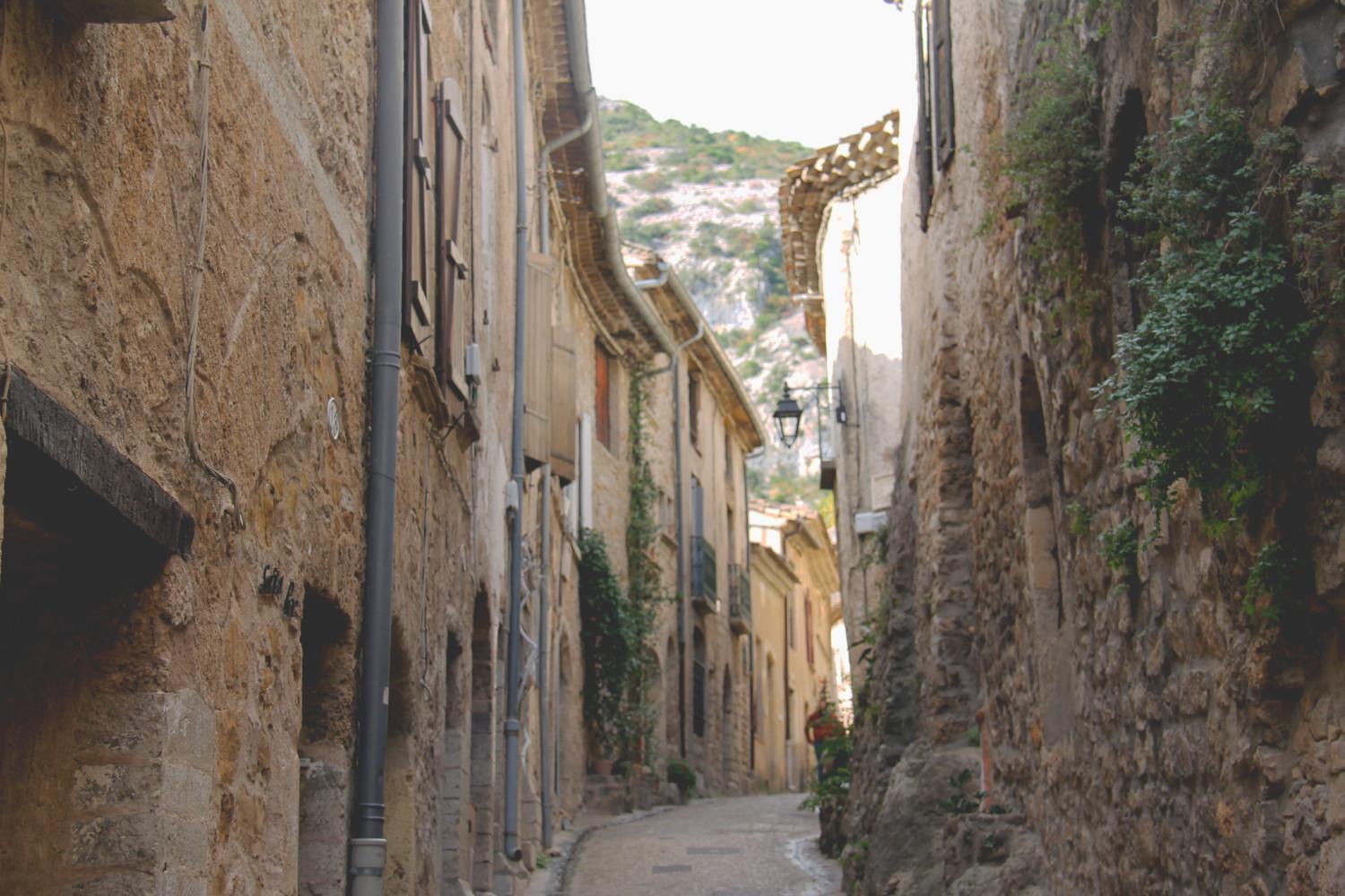 La Maison De La Traverse Saint-Guilhem-le-Desert Exteriér fotografie
