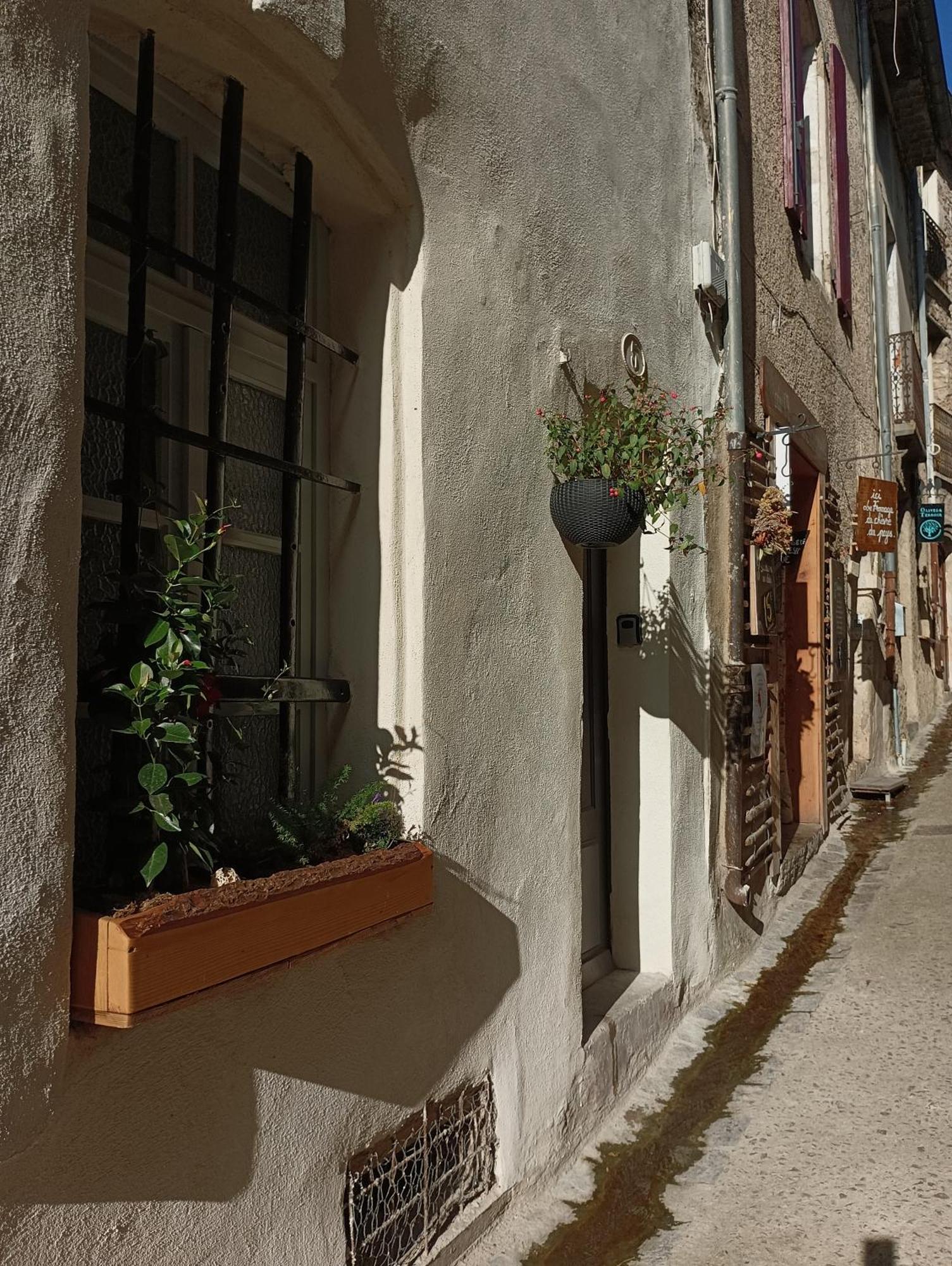 La Maison De La Traverse Saint-Guilhem-le-Desert Exteriér fotografie