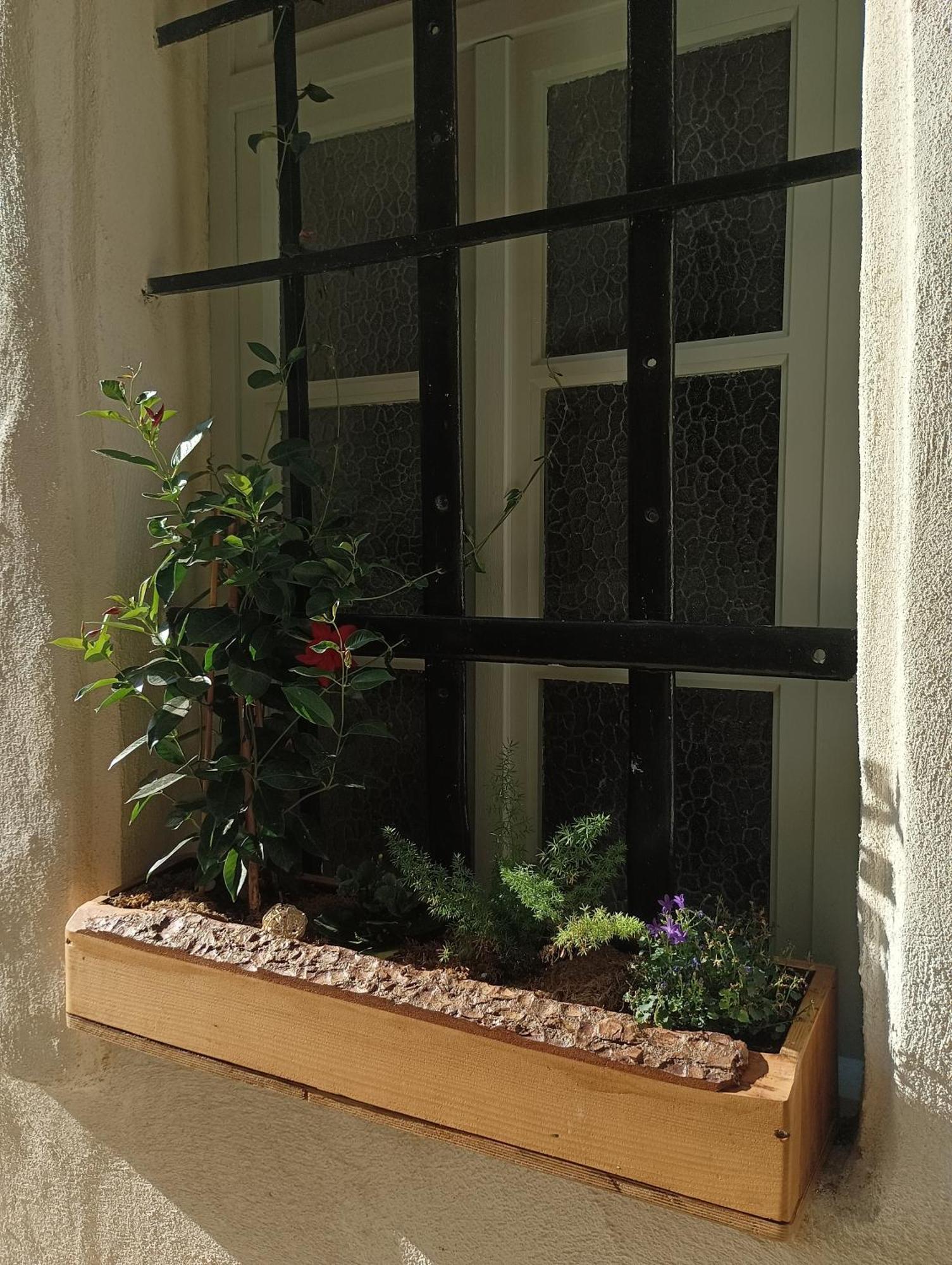 La Maison De La Traverse Saint-Guilhem-le-Desert Exteriér fotografie
